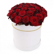 Коробка 25 бордовых роз